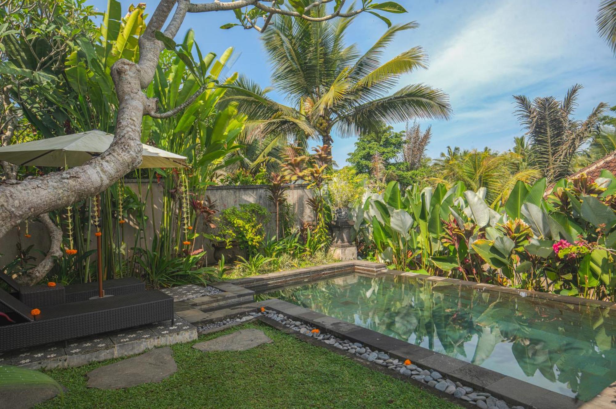 Taluh Bebek Ubud Private Villas 외부 사진