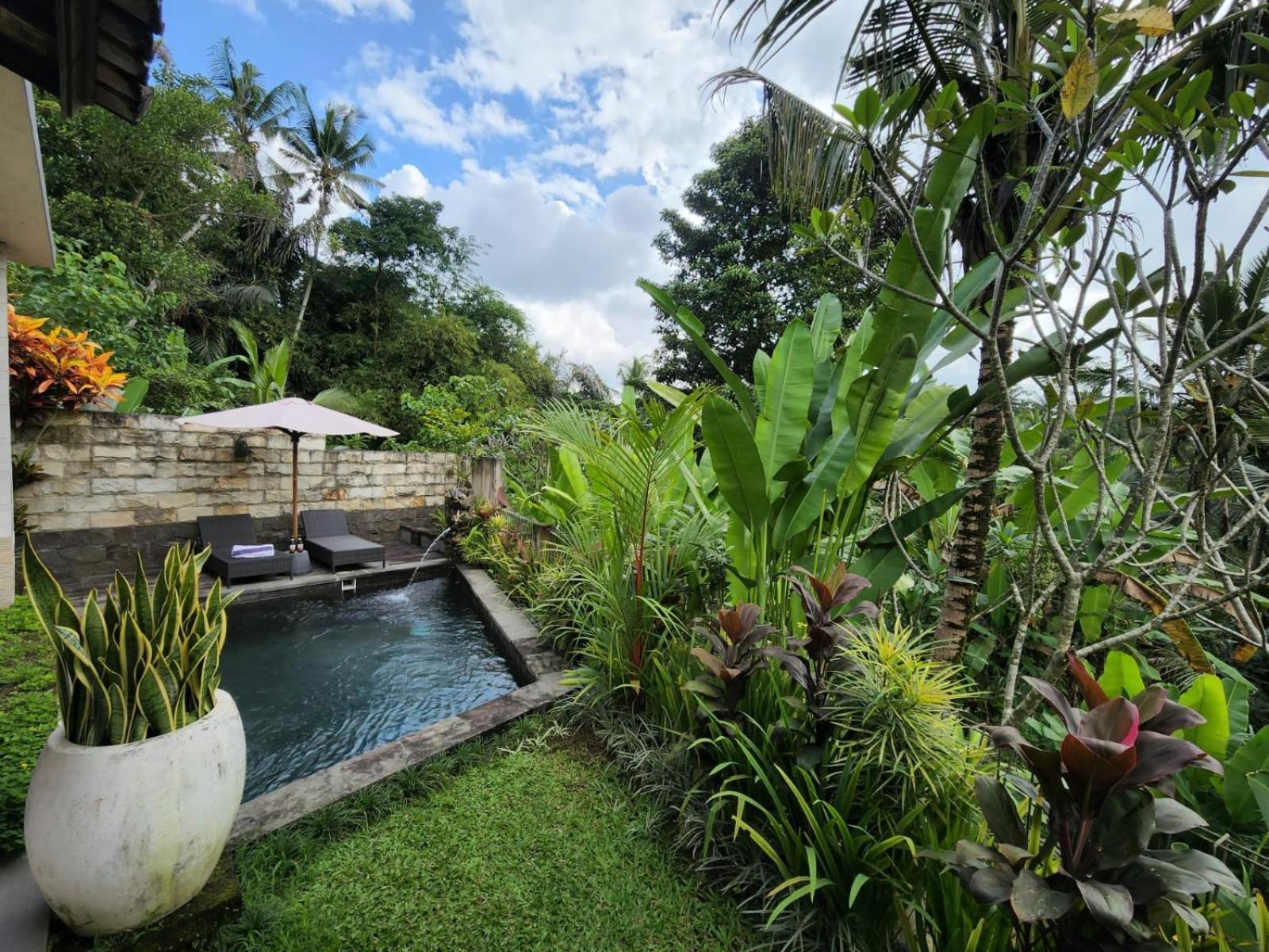 Taluh Bebek Ubud Private Villas 외부 사진